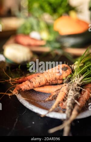 Freshly harvested organic carrots, in the background other vegetables from the garden, Irschen, Carinthia, Austria Stock Photo