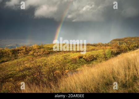 Thunderstorm with double rainbow and dramatic clouds with yellow grass on hills in autumn, Nesna, Nordland, Norway Stock Photo