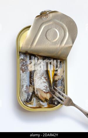 Sardines in opened tin with fork, Oil sardines, Germany Stock Photo