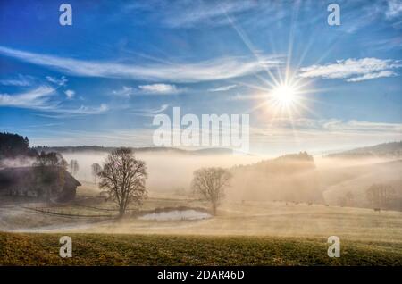 Foggy atmosphere in the morning in Einsiedel, Farm with pond, Einsiedel, Breitnau, Black Forest, Baden-Wuerttemberg, Germany Stock Photo