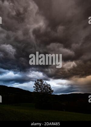 Thunderclouds pile up in the evening over field and tree, Leoben, Styria, Austria Stock Photo