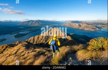 Hiker at the summit of Mount Roy, mountain and lake views, Roys Peak in the evening light, Lake Wanaka, Southern Alps, Otago, South Island, New Stock Photo