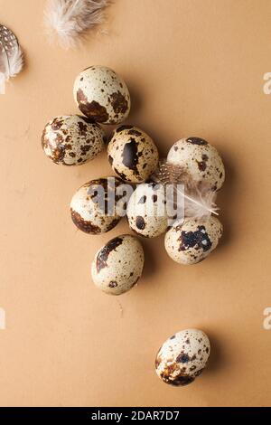 Quail eggs on a brown background with feathers top view. Minimalism, easter card, layout for grocery stores. Stock Photo