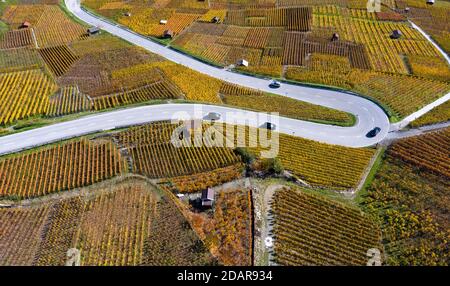 Hairpin bend of a country road runs through the autumn vineyards in the Valais wine growing region of Leytron, Valais, Switzerland Stock Photo