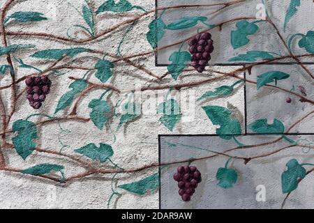 Graffito, vine leaves and grapes, tavern in the historic Johans Hof, Weimar, Thuringia, Germany Stock Photo