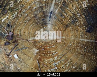 A closeup of a stump into nature at autumn Stock Photo