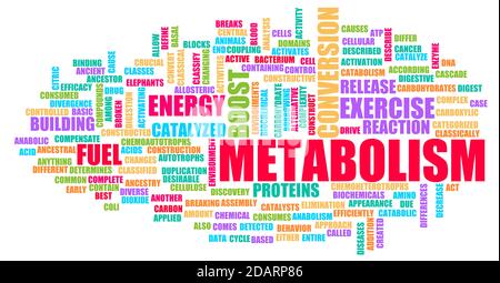 Metabolism in Your Body Chemical Reaction Concept Stock Photo