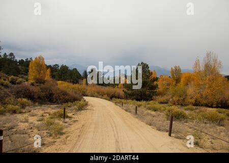 Buena Vista Fall 2020 Stock Photo