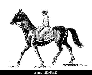 Horse Rider Western Stock Illustrations – 3,808 Horse Rider Western Stock  Illustrations, Vectors & Clipart - Dreamstime