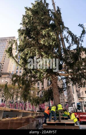 season 75-foot Rockefeller Center Christmas, Norway. , . Spruce Tree from Oneonta installation on the Rockefeller Plaza. Christmas Tree has been donated by Daddy Al's General Store in Oneonta, NY. The tree is 75-foot tall, 45-foot in diameter and weigh 11-ton. (Photo by Lev Radin/Pacific Press) Credit: Pacific Press Media Production Corp./Alamy Live News Stock Photo
