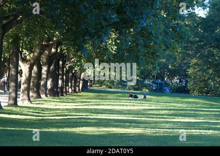 Gallery image with a fresh perspective