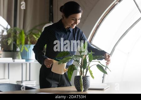Smiling confident Indian businesswoman watering plant on work desk Stock Photo