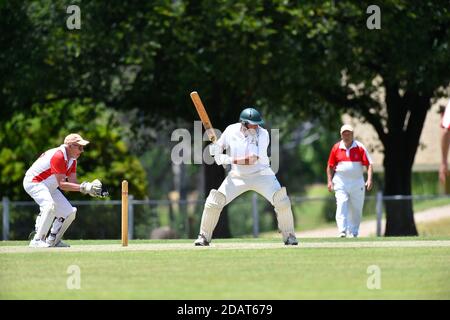 November 2020. Benalla Bushrangers Over 60s v Country Cricket Victoria Stock Photo