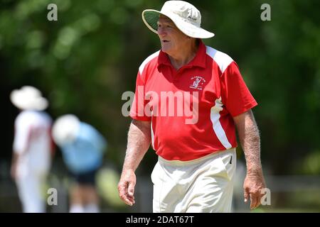 November 2020. Benalla Bushrangers Over 60s v Country Cricket Victoria Stock Photo