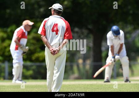 November 2020. Benalla Bushrangers Over 60s v Country Cricket Victoria Stock Photo