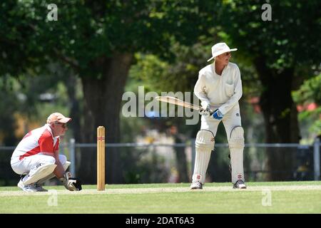 November 2020. Benalla Bushrangers Over 60s v Country Cricket Victoria Stock Photo