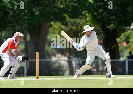 November 2020. Benalla Bushrangers Over 60s v Country Cricket Victoria Stock Photo