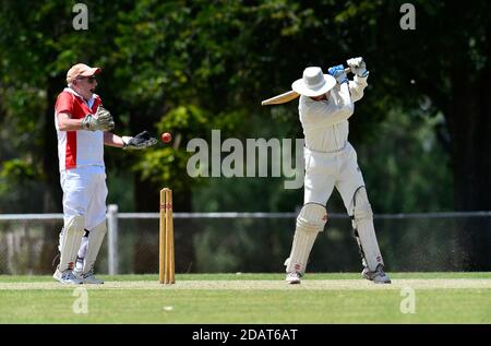 November 2020. Benalla Bushrangers Over 60s v Country Cricket Victoria Stock Photo