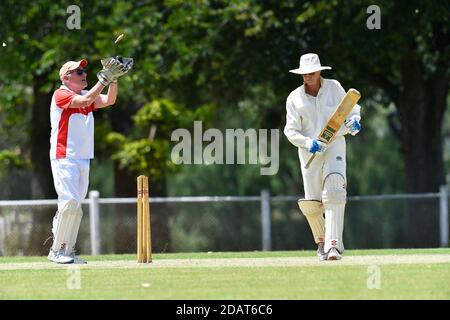 November 2020. Benalla Bushrangers Over 60s v Country Cricket Victoria Stock Photo