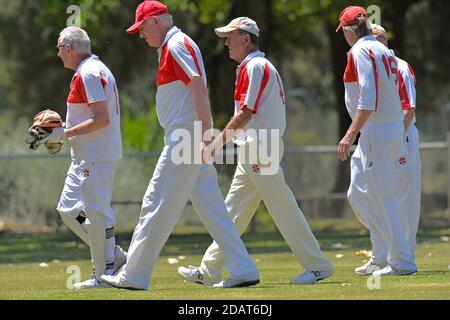 November 2020. Benalla Bushrangers Over 60s v Country Cricket Victoria Stock Photo