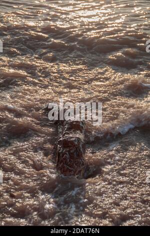 Waves lapping road the pebbles on the beach Stock Photo