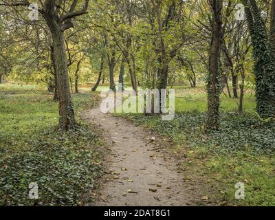 Footpath or pathway in Youth park, Bucharest. Nature trail in the forest. Stock Photo
