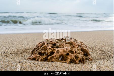 coral and sea-shell at sea beach of somnath temple of somnath Gujarat India Stock Photo