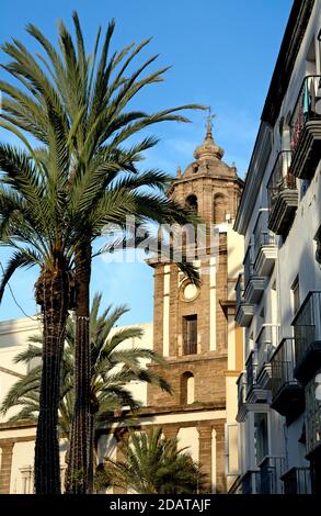 Partial view of the 17th century church of Santiago de Apostol in the historic centre of Cadiz in Andalusia (Spain), with palmtrees in the foreground. Stock Photo