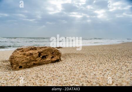 coral and sea-shell at sea beach of somnath temple of somnath Gujarat India Stock Photo