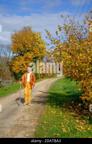 older male walking along rural country lane surrounded by trees in autumn colours zala county hungary Stock Photo