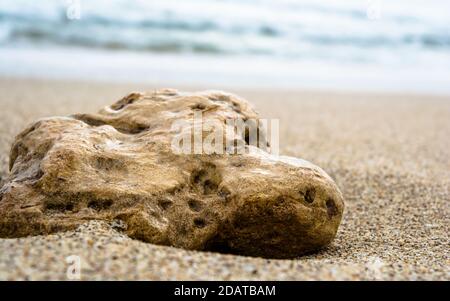 coral and sea-shell at sea beach of somnath temple of somnath Gujarat India Stock Photo