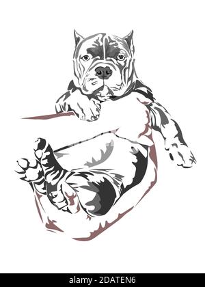 The hand of a man was gently holding the bully dog isolated on white background. vector illustration. Stock Vector