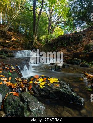 Pretty little waterfall in autumn surrounded by trees Stock Photo
