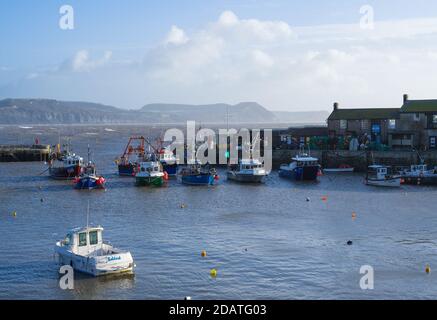 Lyme Regis, Dorset, UK. 15th Nov, 2020. UK Weather: A blustery, but bright morning at Lyme Regis ahead of further heavy rain and gale force winds set to push in later. Credit: Celia McMahon/Alamy Live News Stock Photo