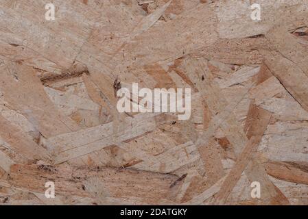 Wood texture pattern of pressed sawdust. Wood board for background decoration Stock Photo