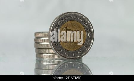Close-up photo of 100 forint, HUF Stock Photo