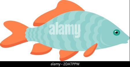 Little carp fish illustration. One single animal, side view, close up. Handdrawn graphic drawing on white background. Stock Vector