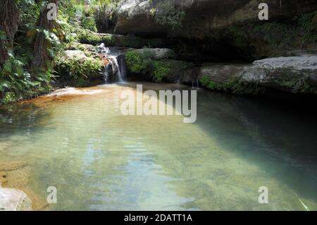 a waterfall fed natural swimming pool in Isalo National Park,  Madagascar Stock Photo