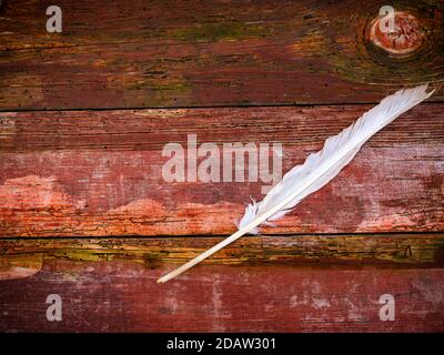 White goose feather on a wooden table. Stock Photo
