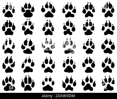 Seamless pattern of print of dogs paws on a white background Stock Photo