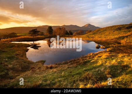 Mirror reflections in small lake with golden light on land. Taken at Kelly Hall Tarn, Lake District, UK. Stock Photo