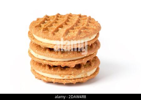Stack of peanut butter cream cookies isolated on white Stock Photo