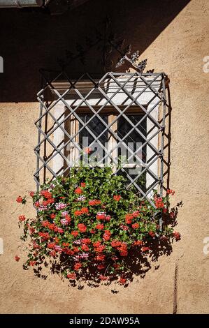 Closeup of a window with red geraniums flower and wrought iron security bars, Trentino Alto Adige, Italy, Europe. Stock Photo