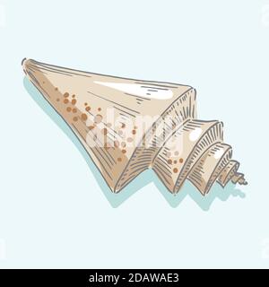 Seashell, shell, sea, mollusk, shellfish, nautical illustration Stock Vector