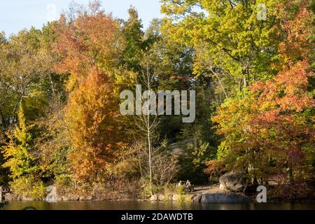 Central Park in New York City is a beautiful oasis during the fall season, USA Stock Photo