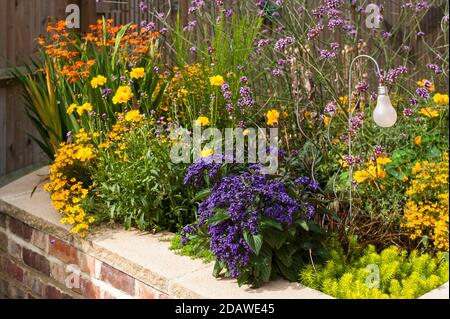 Heliotrope Dwarf Marine, Heliotropium arborescens with Coreopsis grandiflora 'Early Sunrise', Verbena bonariensis and Crocosmia in a cottage garden ra Stock Photo