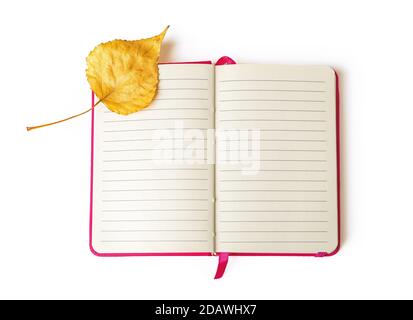 Yellow fall leaf on the upper left corner of an open notebook with lined paper isolated on a white background. Diary empty pages for copy space. Stock Photo