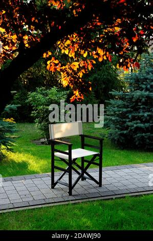chair, furniture, director's, director's chair, event, position, social status, film studio, photo studio, clean, new, waiting, lifestyle, concept, Stock Photo