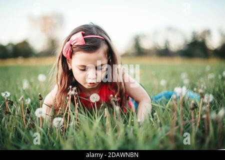Cute adorable Caucasian girl blowing dandelions flowers. Child lying in grass on meadow. Outdoor fun summer seasonal children activity. Kid having fun Stock Photo