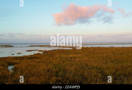 The Wadden Sea (Lower Saxony Wadden Sea National Park) also has a magical attraction in winter. Stock Photo